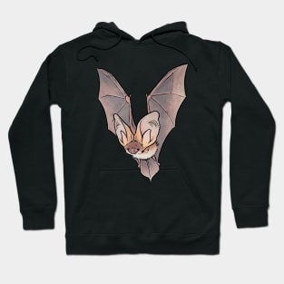 Grey long-eared bat Hoodie